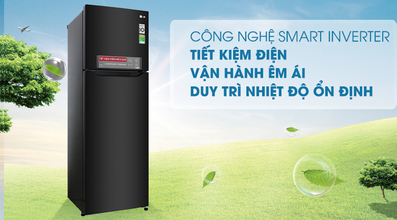 Tủ lạnh LG Inverter 255 lít GN-M255BL - Công nghệ Smart Inverter