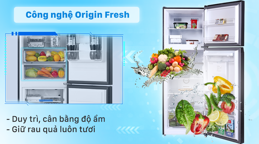 Tủ lạnh Toshiba Inverter 337 lít GR-RT435WE-PMV(06)-MG - Ngăn Origin Fresh