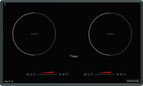Bếp Từ Canzy CZ I89