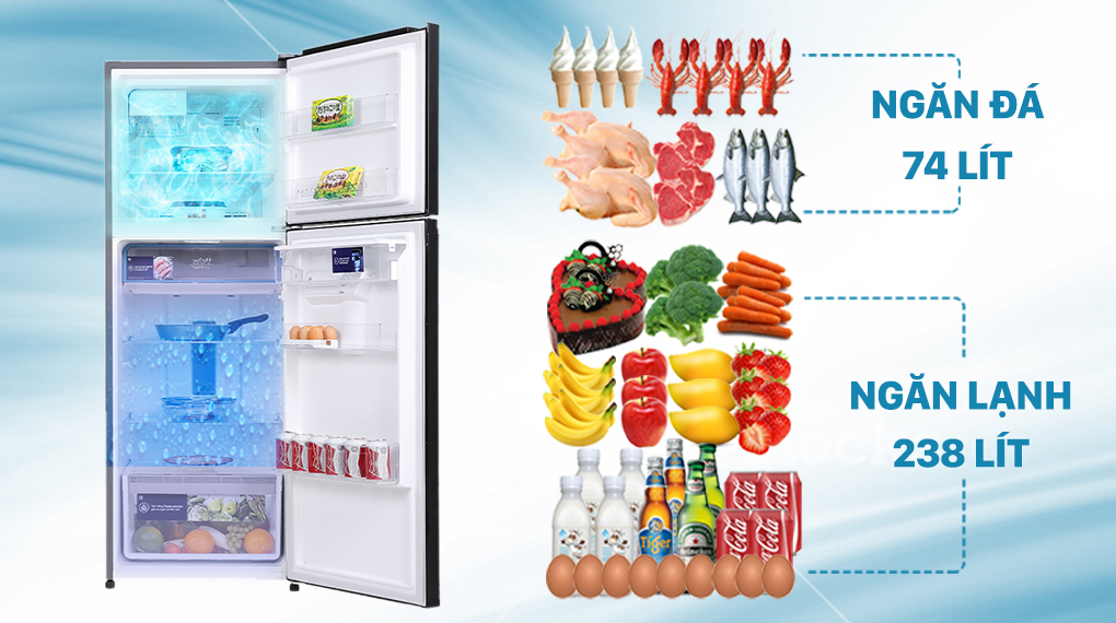 Tủ lạnh Electrolux Inverter 312 lít ETB3440K-H - Dung tích phù hợp cho 3 -4 người